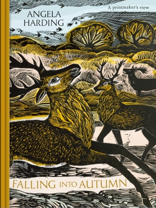 Cover image: Falling into Autumn 9781408721957