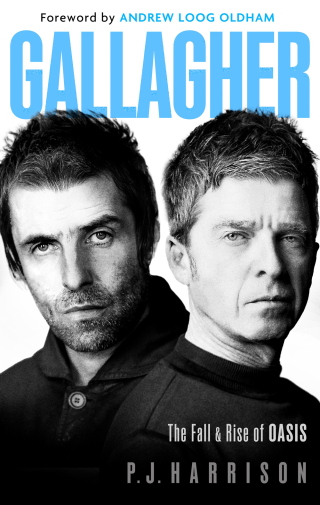 Cover image: Gallagher 9781408723876