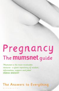 صورة الغلاف: Pregnancy: The Mumsnet Guide 1st edition 9780747598633