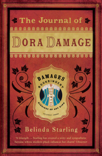 Cover image: The Journal of Dora Damage 1st edition 9780747593256