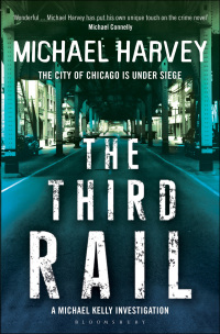 Cover image: The Third Rail 1st edition 9781408809679