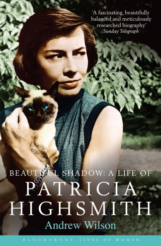 表紙画像: Beautiful Shadow 1st edition 9781408811191