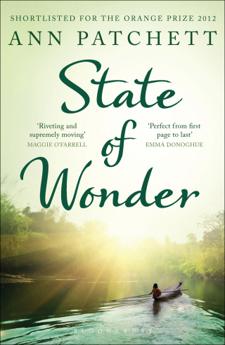 Omslagafbeelding: State of Wonder 1st edition 9781408821886