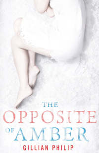 Cover image: The Opposite of Amber 1st edition 9780747599920