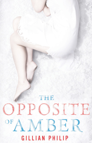 Imagen de portada: The Opposite of Amber 1st edition 9780747599920