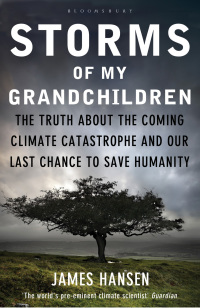 Cover image: Storms of My Grandchildren 1st edition 9781408807460