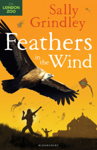 صورة الغلاف: Feathers in the Wind 1st edition 9781408819470