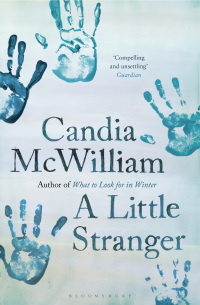 Cover image: A Little Stranger 1st edition 9781408822975