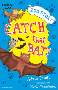 Cover image: Catch That Bat! 1st edition 9781408827086