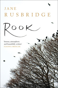 Cover image: Rook 1st edition 9781408831359