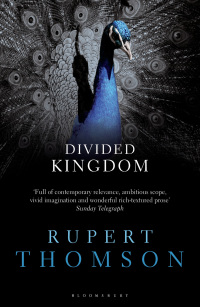 Cover image: Divided Kingdom 1st edition 9781408833124