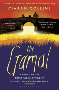 Cover image: The Gamal 1st edition 9781408843529