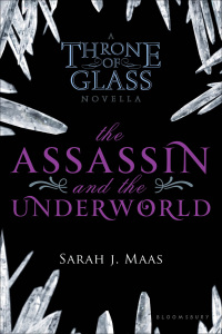 Cover image: The Assassin and the Underworld 1st edition 9781408832332