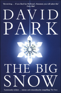 Cover image: The Big Snow 1st edition 9780747561415