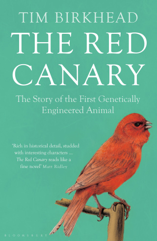 Titelbild: The Red Canary 1st edition 9781408847060