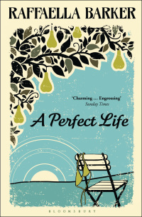 Cover image: A Perfect Life 1st edition 9781408850718