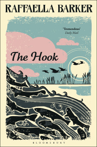 Immagine di copertina: The Hook 1st edition 9780747530848