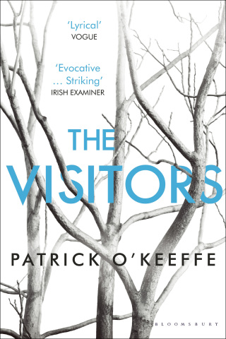 Cover image: The Visitors 1st edition 9781408850886