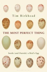 Immagine di copertina: The Most Perfect Thing 1st edition 9781408851258