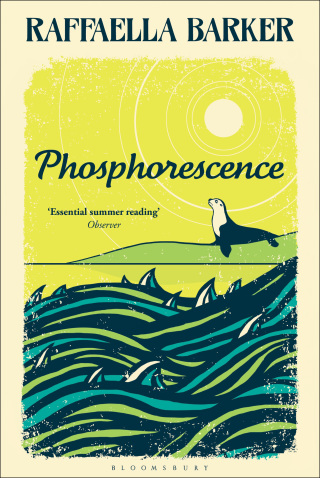 Cover image: Phosphorescence 1st edition