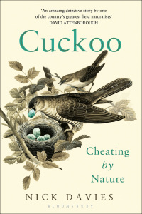 Cover image: Cuckoo 1st edition 9781408856581