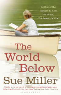 Imagen de portada: The World Below 1st edition 9781408805114