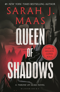 Cover image: Queen of Shadows 1st edition 9781619636040