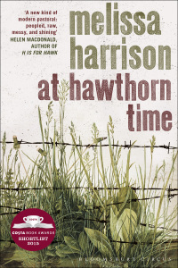 表紙画像: At Hawthorn Time 1st edition 9781408859070