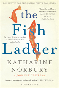 صورة الغلاف: The Fish Ladder 1st edition 9781408859261