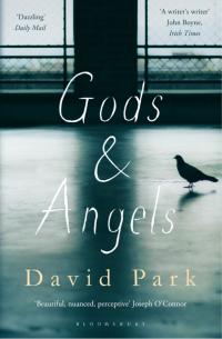 Cover image: Gods and Angels 1st edition 9781408866078