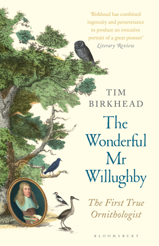 Cover image: The Wonderful Mr Willughby 1st edition 9781408878484