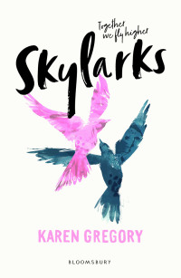 Cover image: Skylarks 1st edition 9781408883617