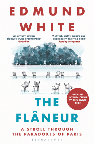 صورة الغلاف: The Flaneur 1st edition 9781408864760