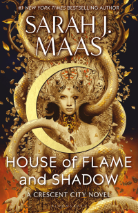 Cover image: House of Flame and Shadow 1st edition 9781408884447