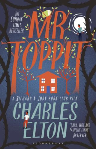 Imagen de portada: Mr Toppit 1st edition 9781408884881