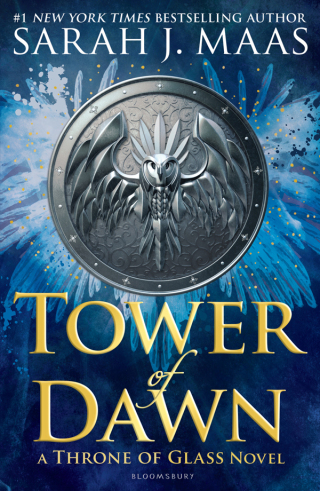 Cover image: Tower of Dawn 1st edition 9781526635280