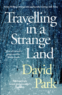 Imagen de portada: Travelling in a Strange Land 1st edition 9781408892787