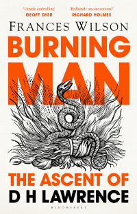 Imagen de portada: Burning Man 1st edition 9781408893654