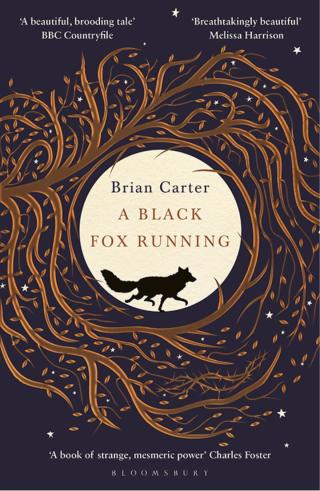 صورة الغلاف: A Black Fox Running 1st edition 9781408896129