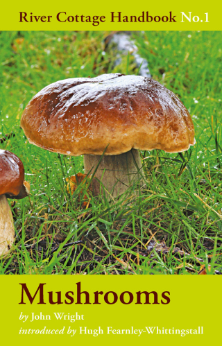 Cover image: Mushrooms 1st edition 9780747589327