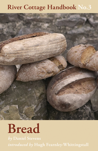 Cover image: Bread 1st edition 9780747595335