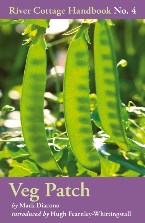 Veg Patch: River Cottage Handbook No.4, 1st Edition - FULL INSTANT DOWNLOAD | PDF DOCX EPUB