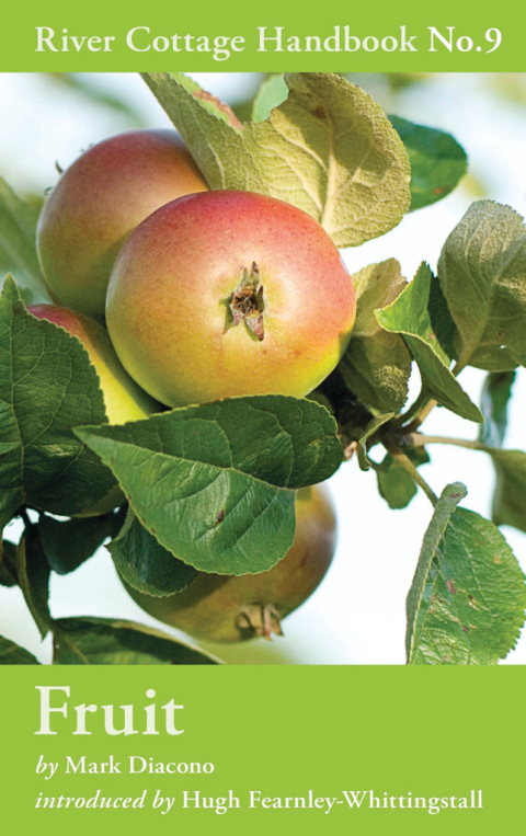 Fruit: River Cottage Handbook No.9, 1st Edition - FULL INSTANT DOWNLOAD | PDF DOCX EPUB
