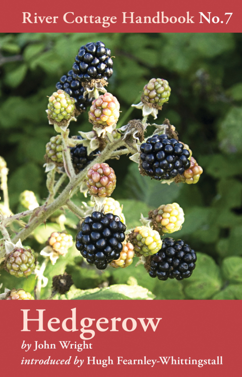 Hedgerow: River Cottage Handbook No.7, 1st Edition - FULL INSTANT DOWNLOAD | PDF DOCX EPUB