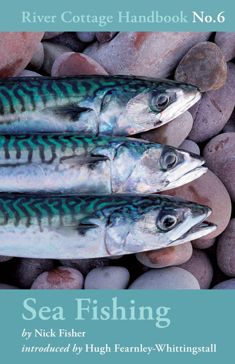Sea Fishing: River Cottage Handbook No.6, 1st Edition - FULL INSTANT DOWNLOAD | PDF DOCX EPUB