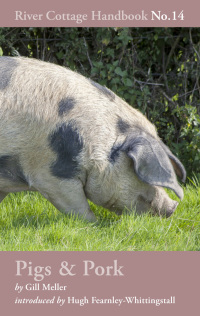 صورة الغلاف: Pigs & Pork 1st edition 9781408817926