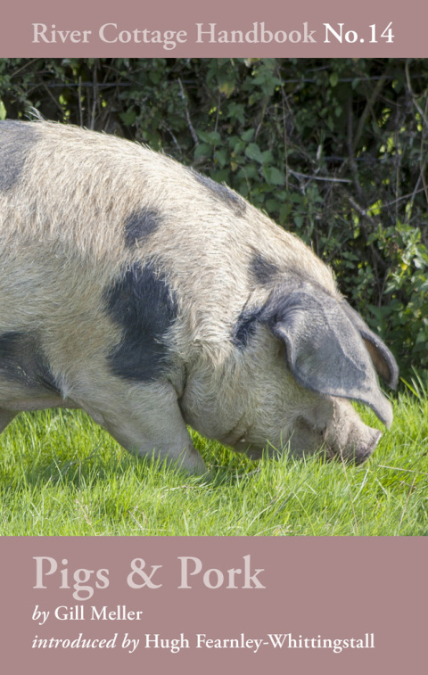 Pigs & Pork: River Cottage Handbook No.14, 1st Edition - FULL INSTANT DOWNLOAD | PDF DOCX EPUB