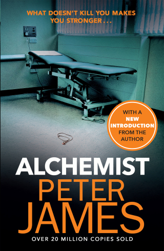 Cover image: Alchemist 9780752817293