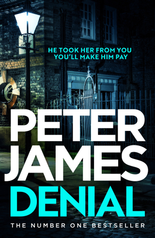 Cover image: Denial 9781409181231