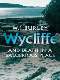 Cover image: Wycliffe and Death in a Salubrious Place 9781409171867